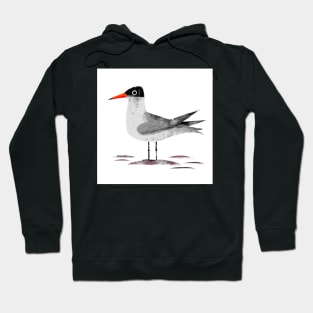 Caspian Tern Hoodie